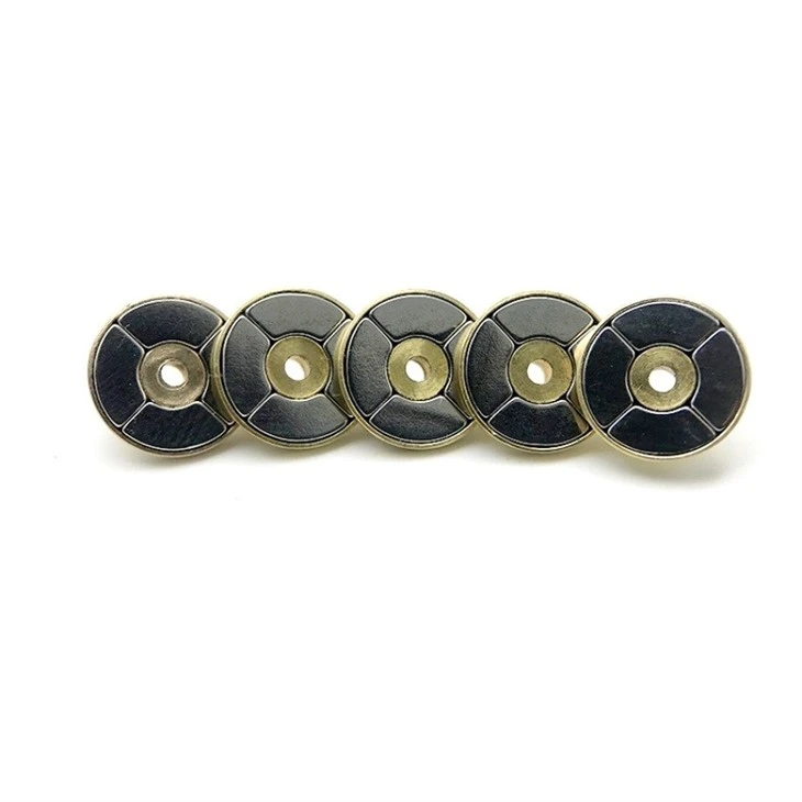Disc Magnetic Coupling-005